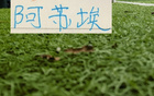 回归申花阿苏埃 本赛季各项赛事进球也是超越 大连英博马莱莱