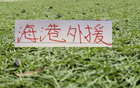 如把亚冠专属外援算上 年底海港也有5个外援合同到期 是大更新 还是打补丁